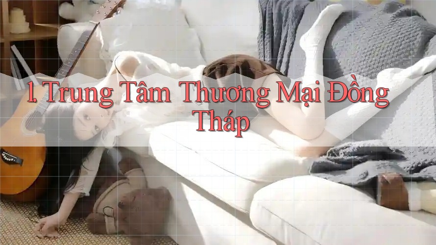 1. Trung Tâm Thương Mại Đồng Tháp
