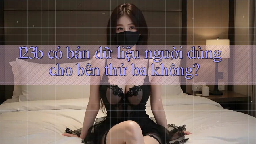 123b có bán dữ liệu người dùng cho bên thứ ba không? 123b có bán dữ liệu người dùng cho bên thứ ba không?