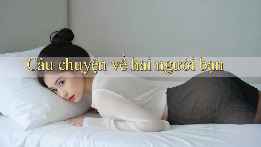 Câu chuyện về hai người bạn Câu chuyện về hai người bạn