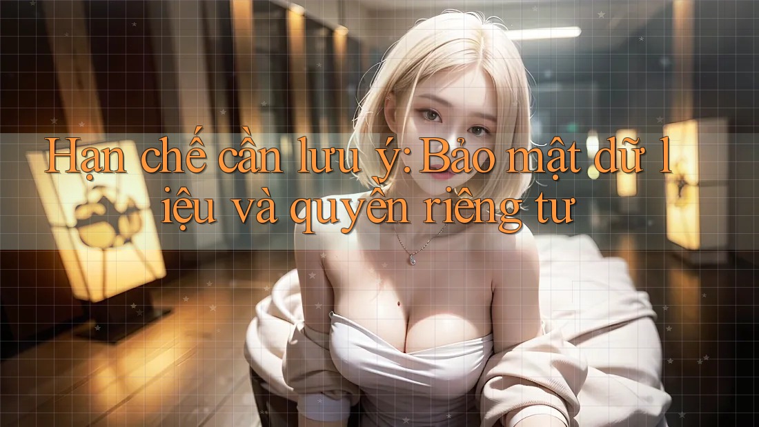Hạn chế cần lưu ý: Bảo mật dữ liệu và quyền riêng tư Hạn chế cần lưu ý: Bảo mật dữ liệu và quyền riêng tư