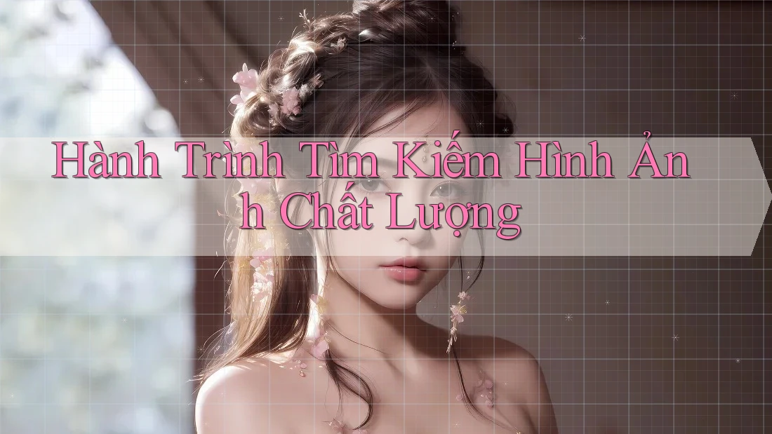 Hành Trình Tìm Kiếm Hình Ảnh Chất Lượng