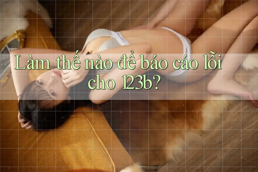 Làm thế nào để báo cáo lỗi cho 123b? Làm thế nào để báo cáo lỗi cho 123b?