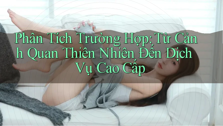 Phân Tích Trường Hợp: Từ Cảnh Quan Thiên Nhiên Đến Dịch Vụ Cao Cấp Phân Tích Trường Hợp: Từ Cảnh Quan Thiên Nhiên Đến Dịch Vụ Cao Cấp