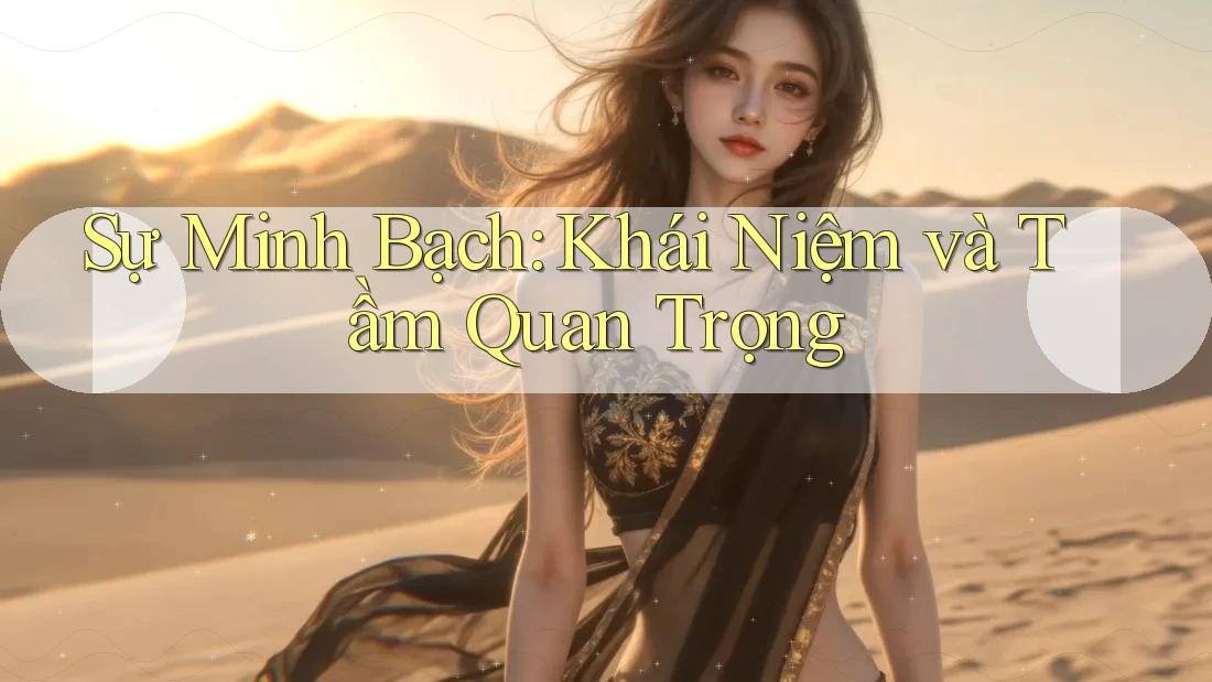 Sự Minh Bạch: Khái Niệm và Tầm Quan Trọng Sự Minh Bạch: Khái Niệm và Tầm Quan Trọng