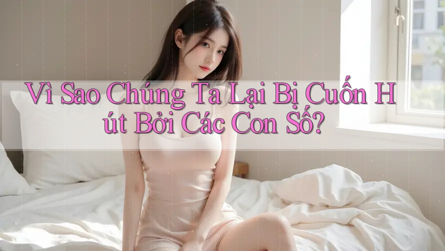 Vì Sao Chúng Ta Lại Bị Cuốn Hút Bởi Các Con Số? Vì Sao Chúng Ta Lại Bị Cuốn Hút Bởi Các Con Số?